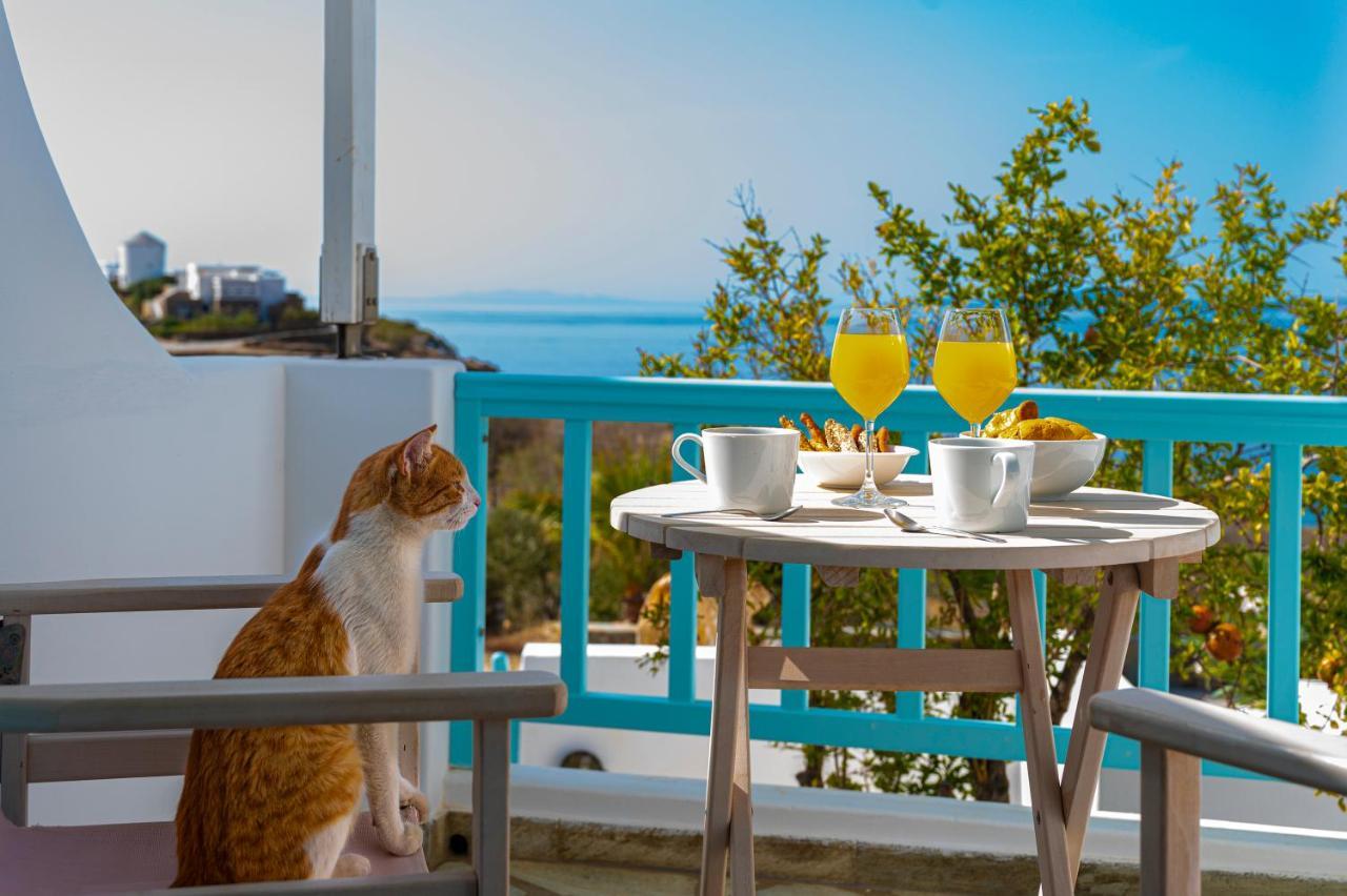 Aegean Dream Apartment