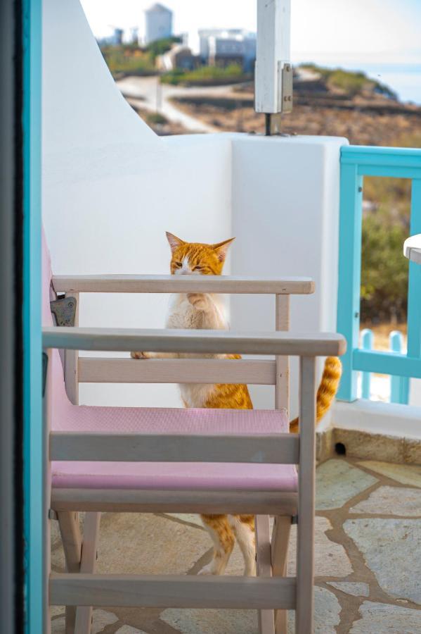 Aegean Dream Apartment Tínos