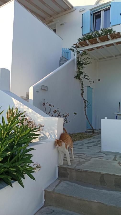 Aegean Dream * Tínos
